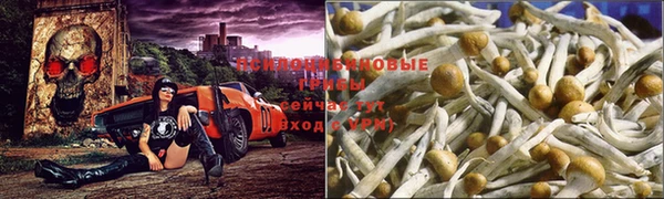 spice Алексеевка