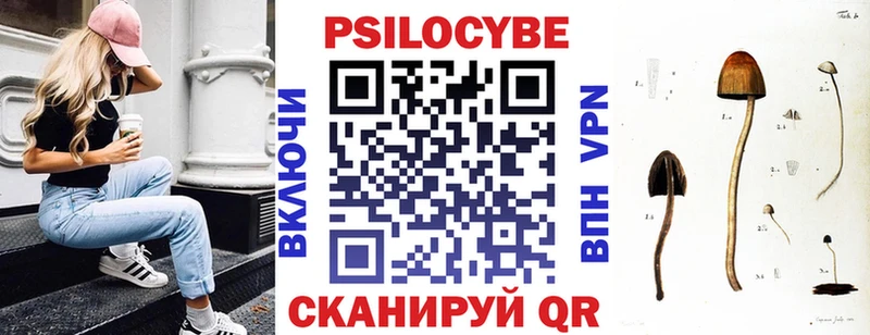 наркота  Белореченск  Галлюциногенные грибы Psilocybine cubensis 