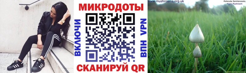 Галлюциногенные грибы GOLDEN TEACHER Белореченск