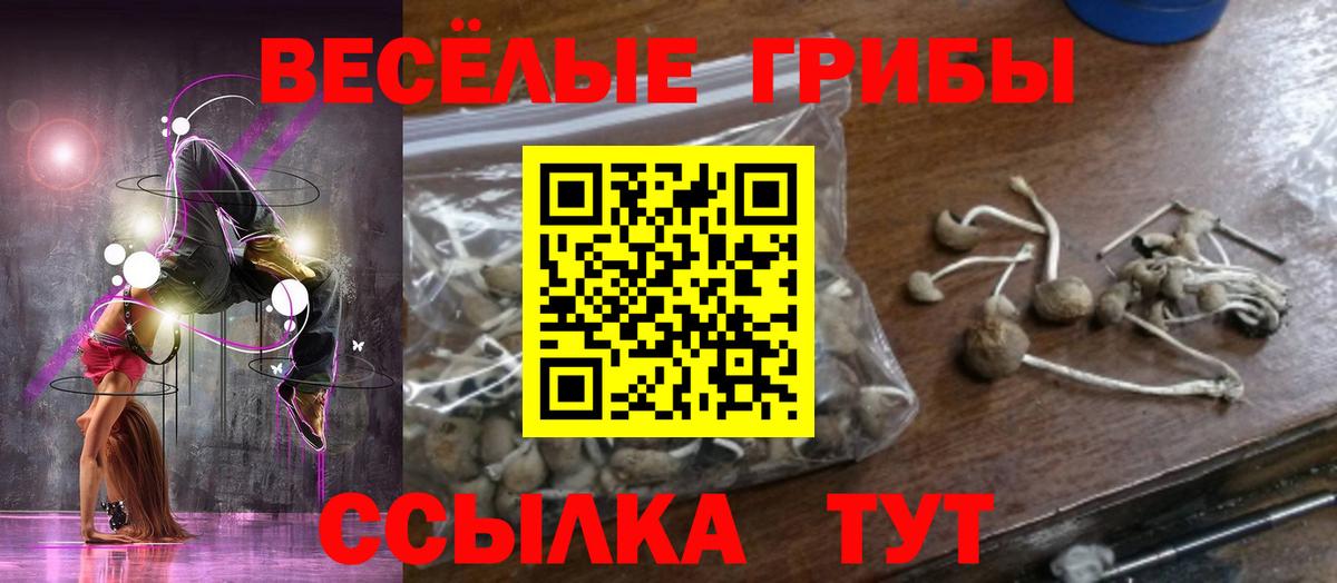 Белореченск  Галлюциногенные грибы Psilocybe  Вход с VPN 